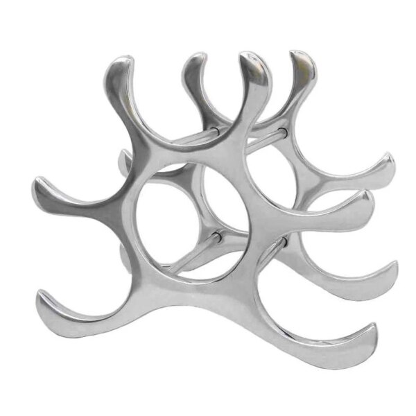 Aluminum Eco-Friendly Wine Rack for 6 Bottles Party & Wedding Ready Desktop Display by Axiom Home Accents