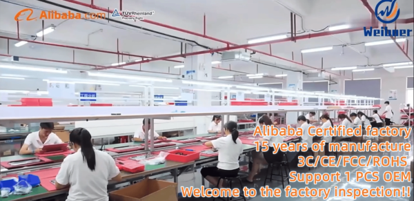 New 16.1 Inch Intel Core I9 13900H Gamer PC RTX4050 6G with Powerful Graphics Card I9 12th Gen 64GB 2TB Business Gaming Laptop