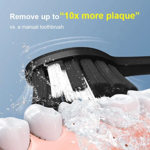 SG972D China Manufacturer IPX7 40,000 Strokes Automatic Rechargeable Sonic Electronic Electric Toothbrush