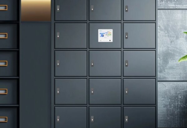 WT DC761-02 System Cabinet Locker Lock with 12V Solenoid Anti-Theft Invisible Electrical Furniture Drawer Cabinet Lock